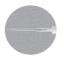 6d72e3920a319d4ca1555343397bb491.gif